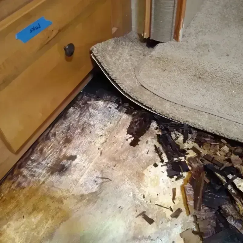 Wood Floor Water Damage in Rio Grande, NJ